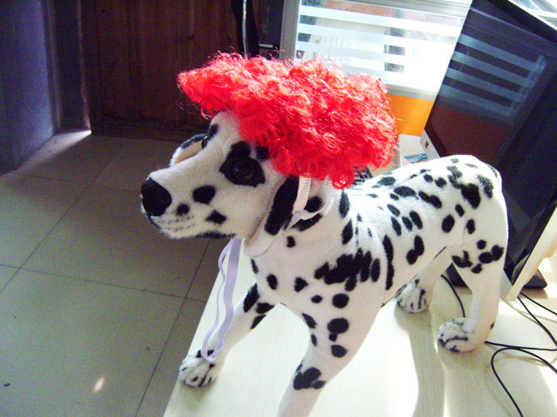 宠物猫咪狗狗假发套头套帽子表演道具5l