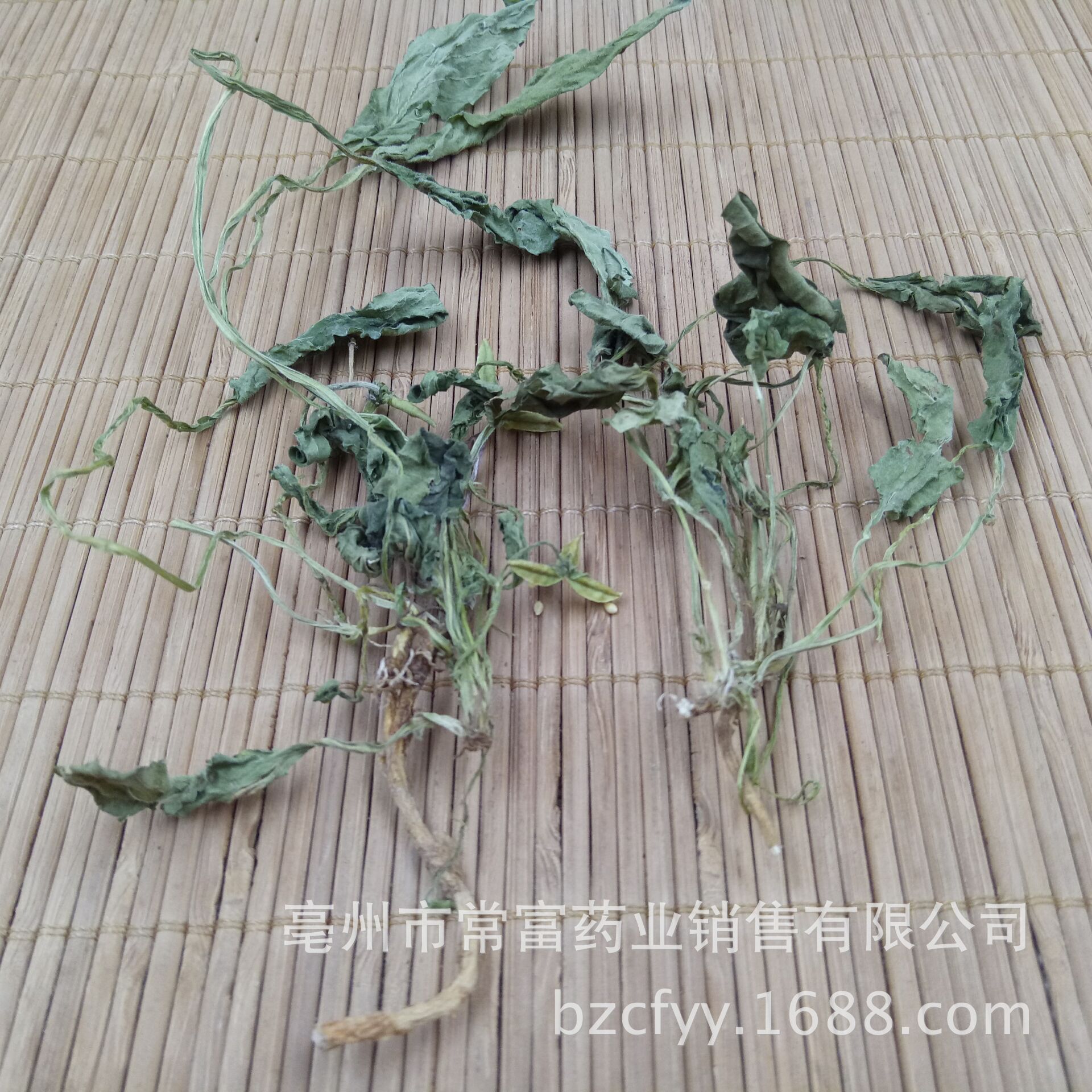 Viola Herb Zi Hua Di Ding Whole Plant Dried 500g Traditional Chinese Herbal Tea and Decoction Ingredient key features