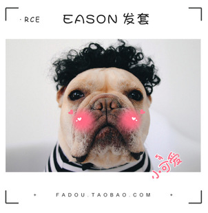 ������Ц�ٰl �����^�� ���R�d���uͨ����ٰl�^�