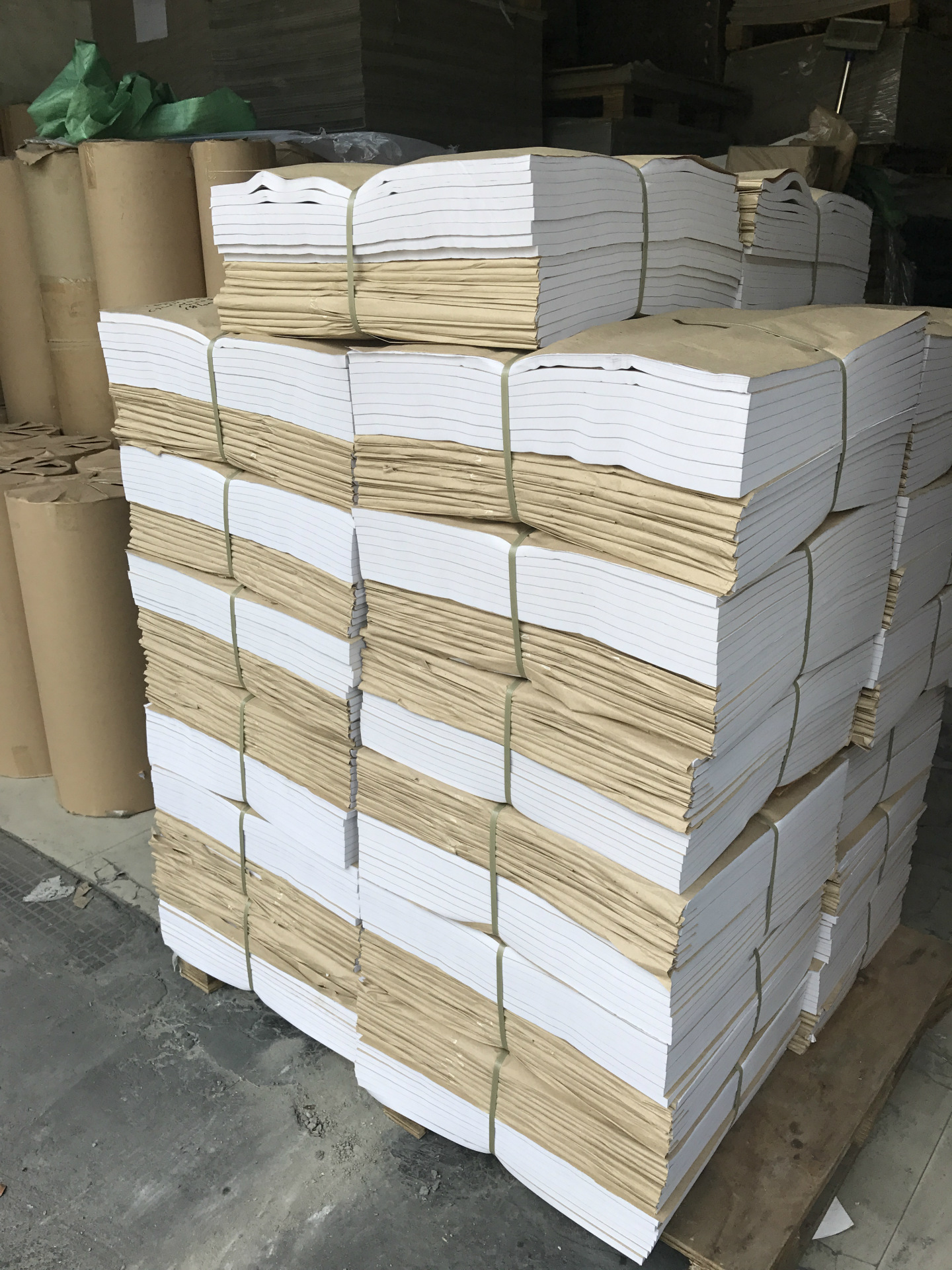 新建文件夹 (2)IMG_0477