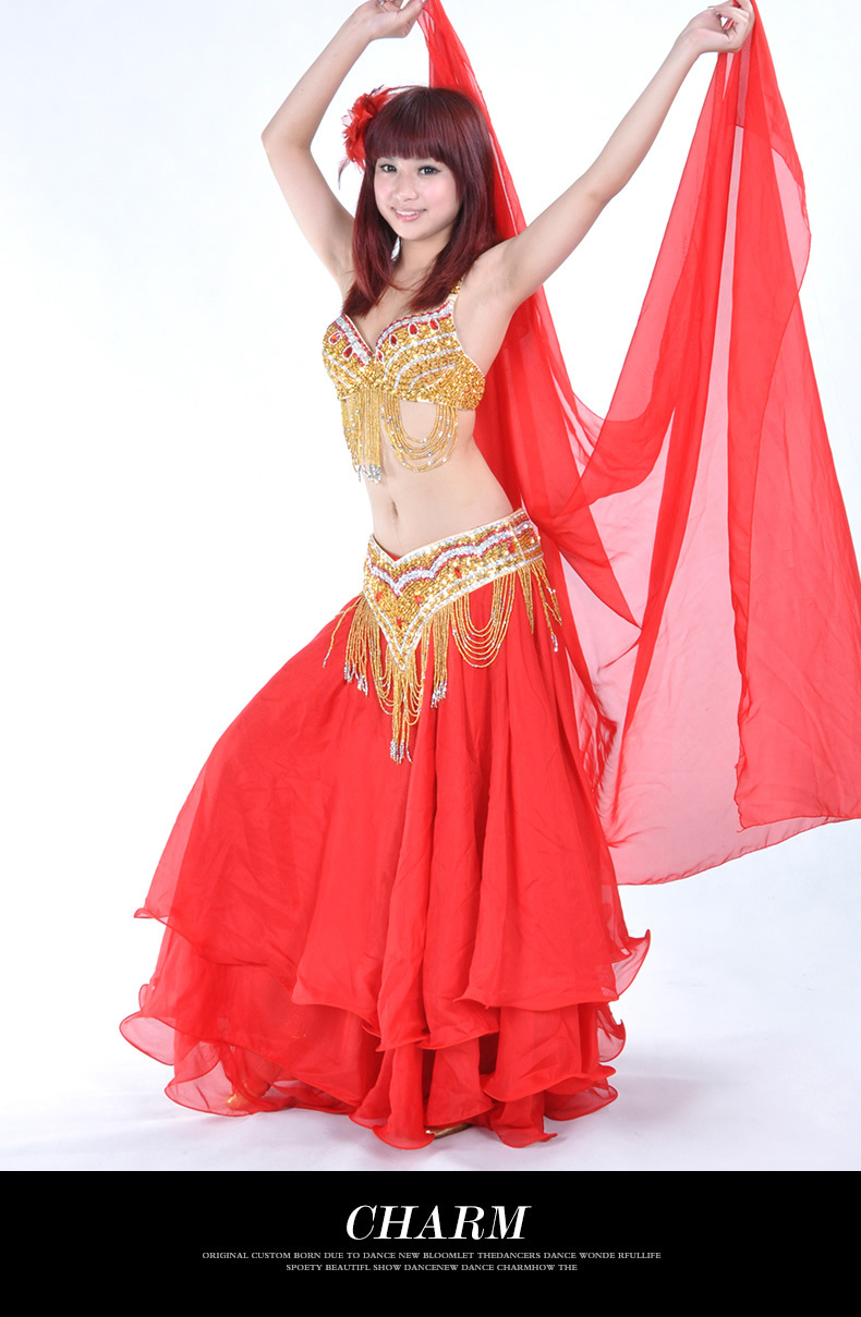 Dance Outfits Polyester Belly Dance Costumes For Ladies [8252283916