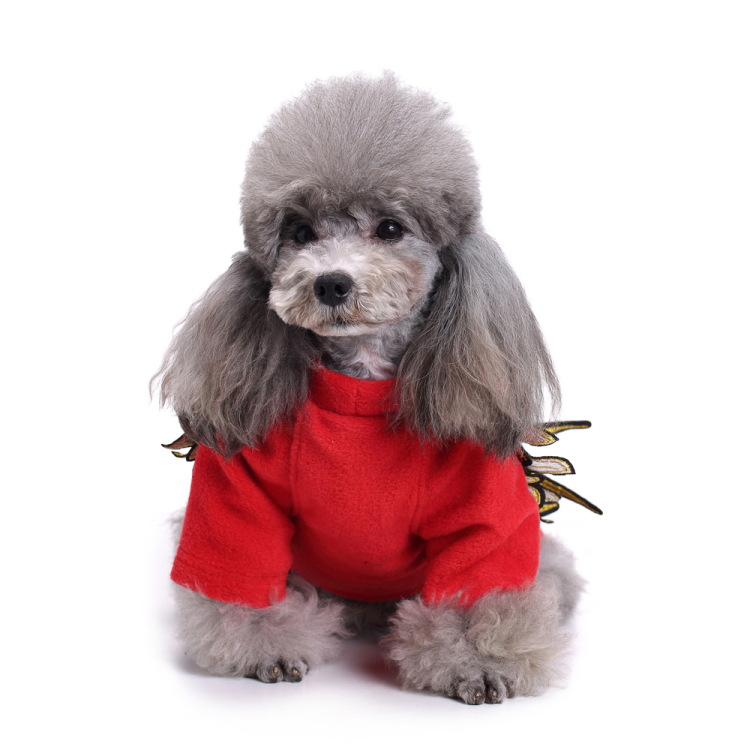 Vêtements Pour Chiens Ailes Vêtements D'automne Petits Vêtements Pour Chiens Ailes display picture 3