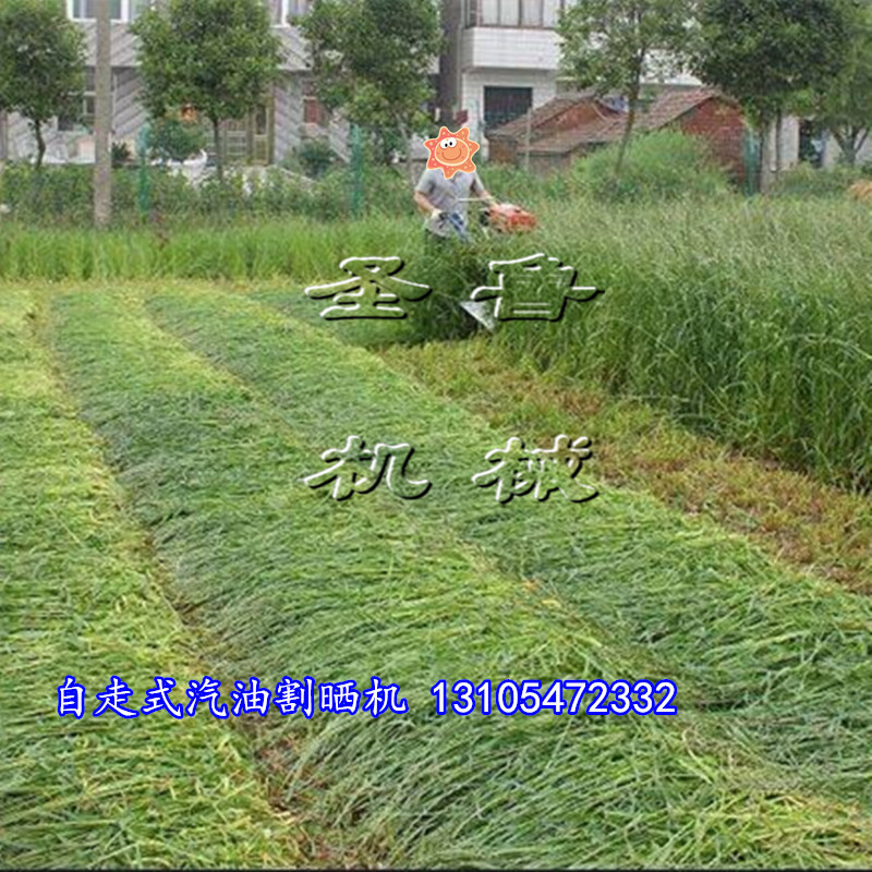 自走式汽油割曬機6