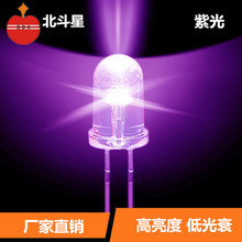 LED紫光 f5紫光圆头5mm直插灯珠 UV烘烤验钞发光二级管厂家批发