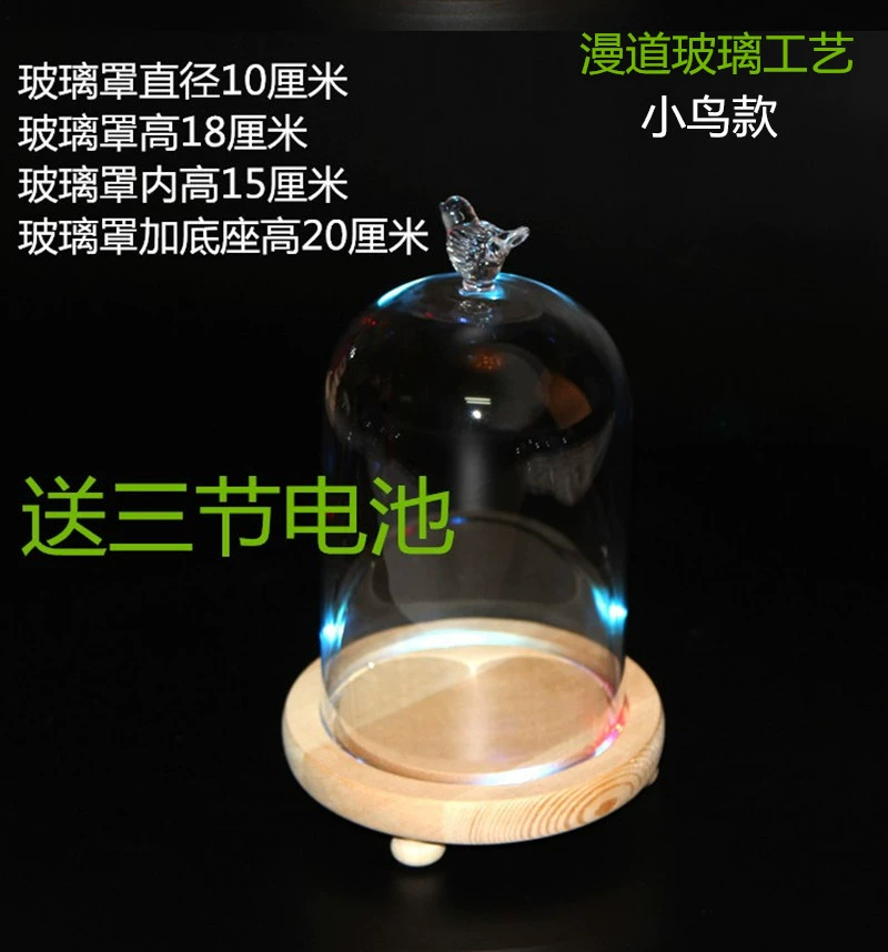 DIY Forever Life Flower Multicolor Lamp Base Glass Cover Fresh-keeping Flower Cover Cake Cover Mini Landscape Glass Vase Manufacturer