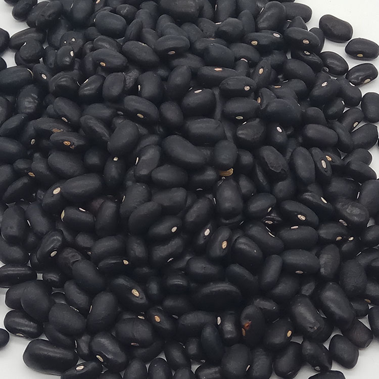 Low Temperature Roasted Black Soybeans Shu Hei Dou Wholesale Bulk Five Grain Ingredient specifications