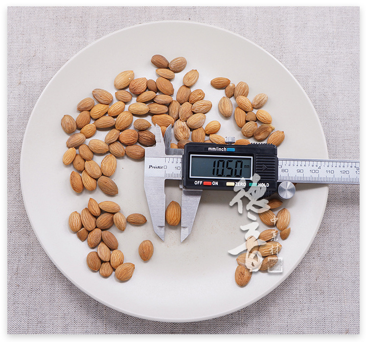 Dried Bitter Almonds Biantao Ren 500g Bulk Raw Almond Kernels for Culinary Use quality and texture