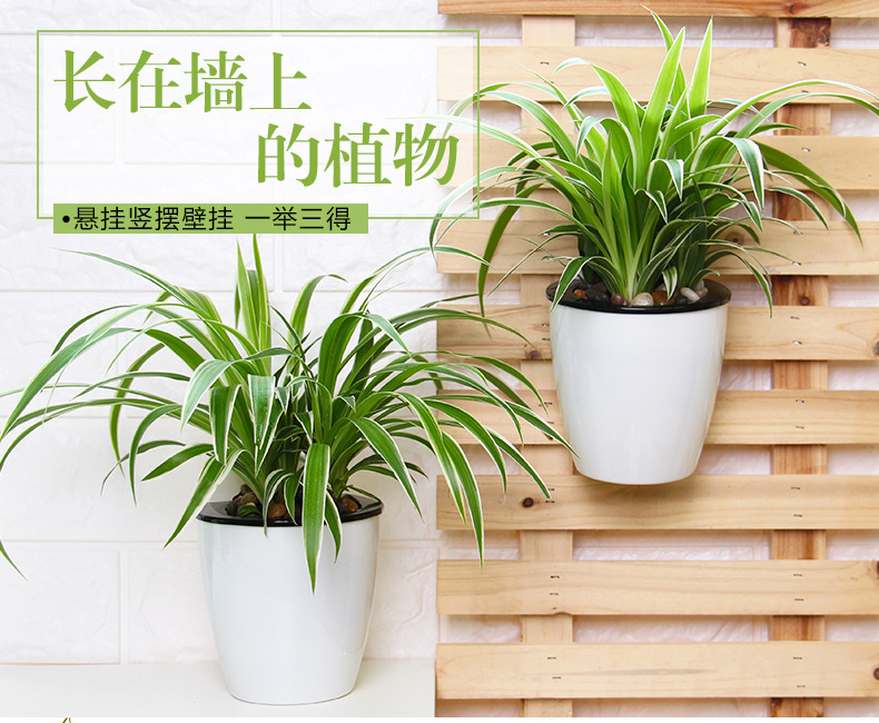 TB2KDpoxUhnpuFjSZFEXXX0PFXa_!!