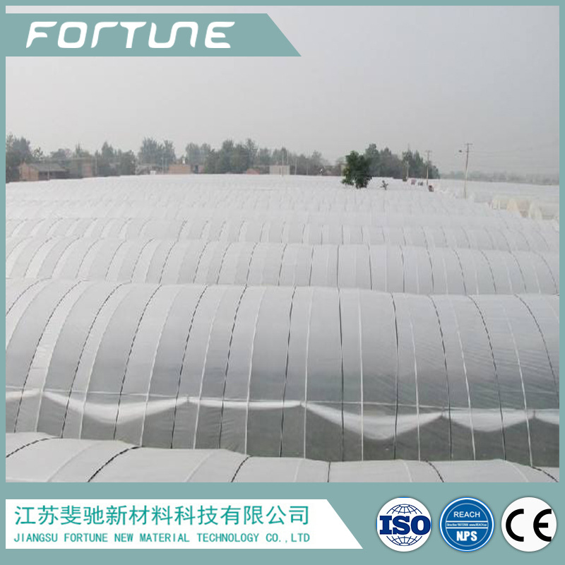 斐驰出品PVC普通透明膜大棚膜隔热阻燃耐寒定做厂家直销