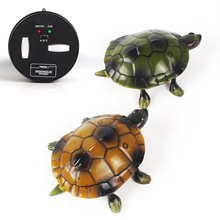 遥控仿真动物电动玩具儿童宝宝玩具动物玩具遥控玩具乌龟模型