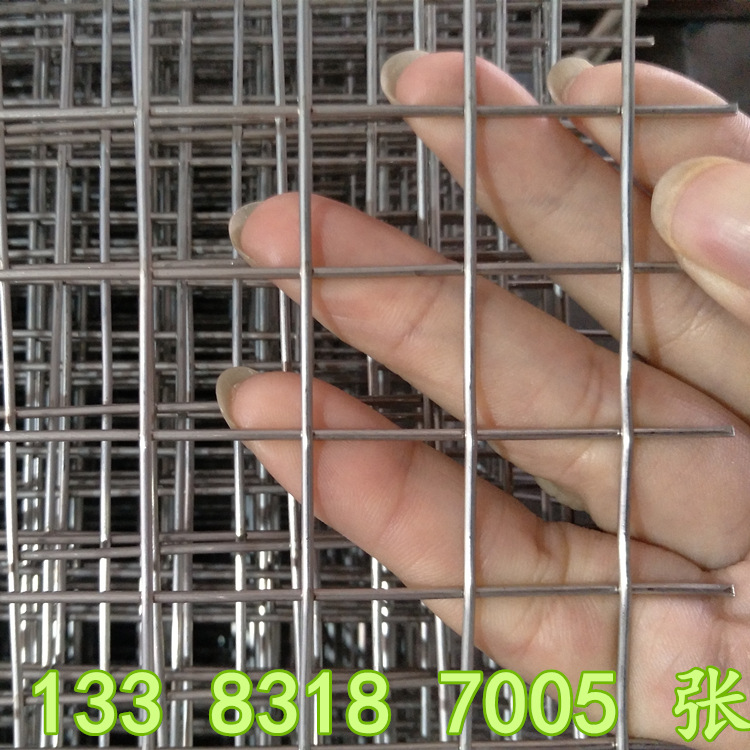 厂家生产2厘米网孔 不锈钢焊接金属丝网  防护网 规格齐全