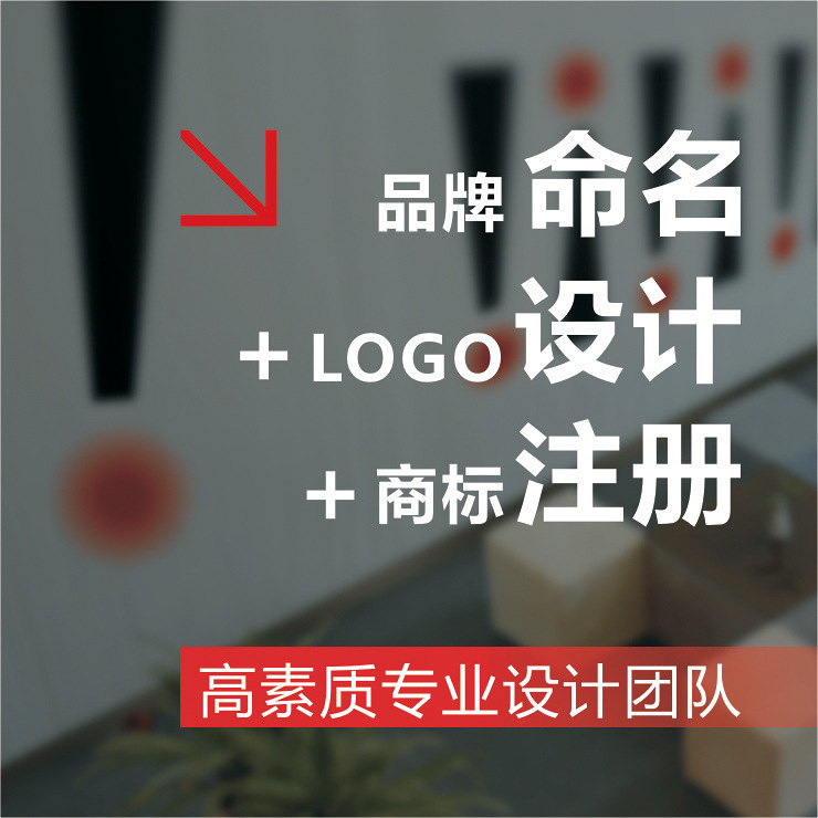 Thirty-seven brand Plan Brand naming+ LOGO design+Trademark register Discount Package