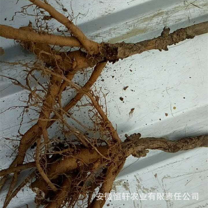 微信图片_201709201001234