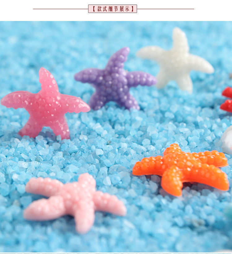 多彩海星_02