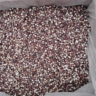 �ٴ�ș�I �͌� ���| ��������  15��o�l���˓Q