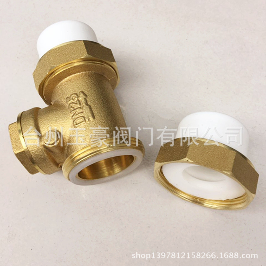 PPR止回阀4