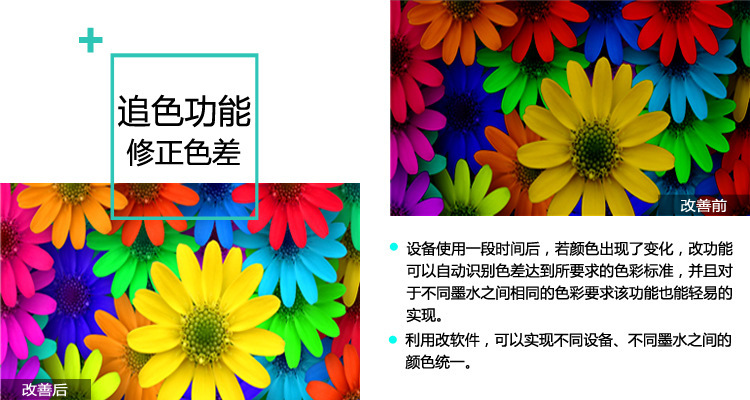 4028018312_1101066829