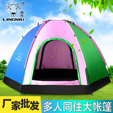 Antelope Camping Tent Antelope Rainstorm Double Double Beach Tent Automatic Tent Outdoor Tent Wholesale
