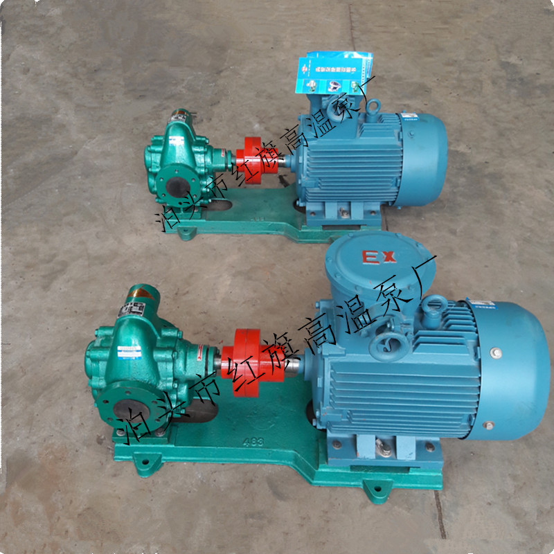 供应KCB-200中等流量不锈钢齿轮泵华潮304不锈钢齿轮油食用油泵