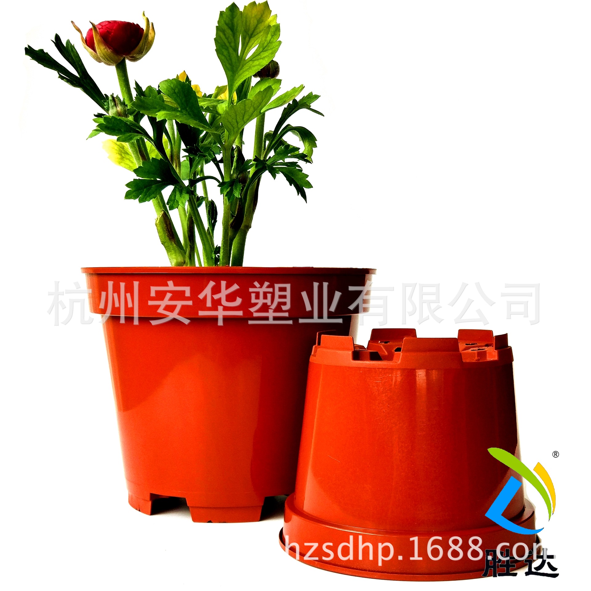 IMG_20170329_135041_HDR_副本