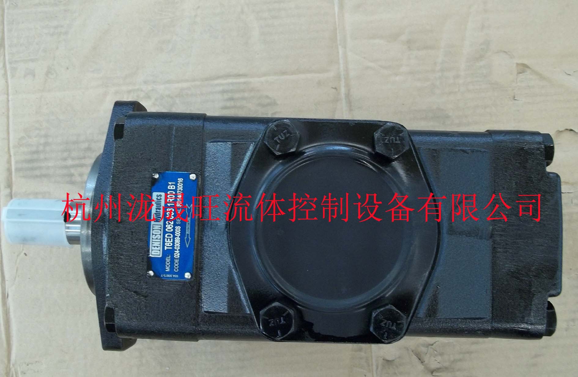 丹尼逊/DENISON 叶片泵 T6ED-062-038-1R00-B1 特价供应