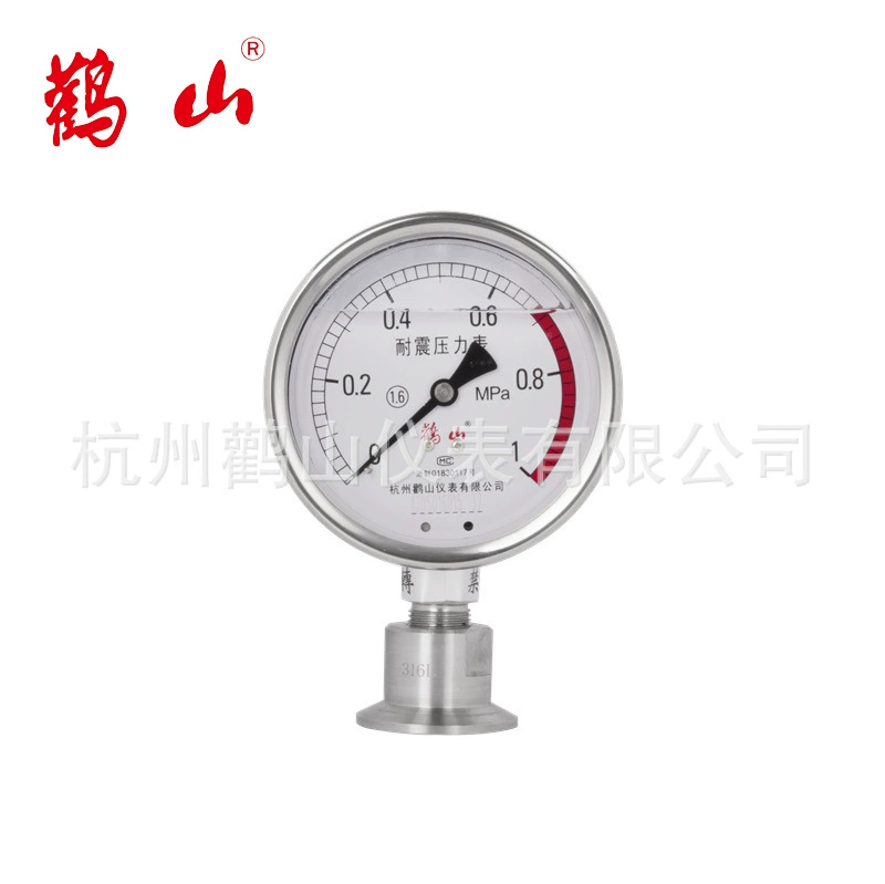 Мембранный манометр из нержавеющей стали YN100BF/NL Гигиенический мембранный манометр GMP можно настроить