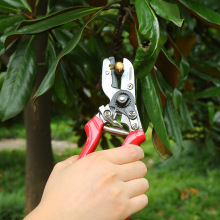 sunsong���ɵ�ռ�X����֦�����@�� ��֦��@�ֹ��� ��֦����֦ʡ