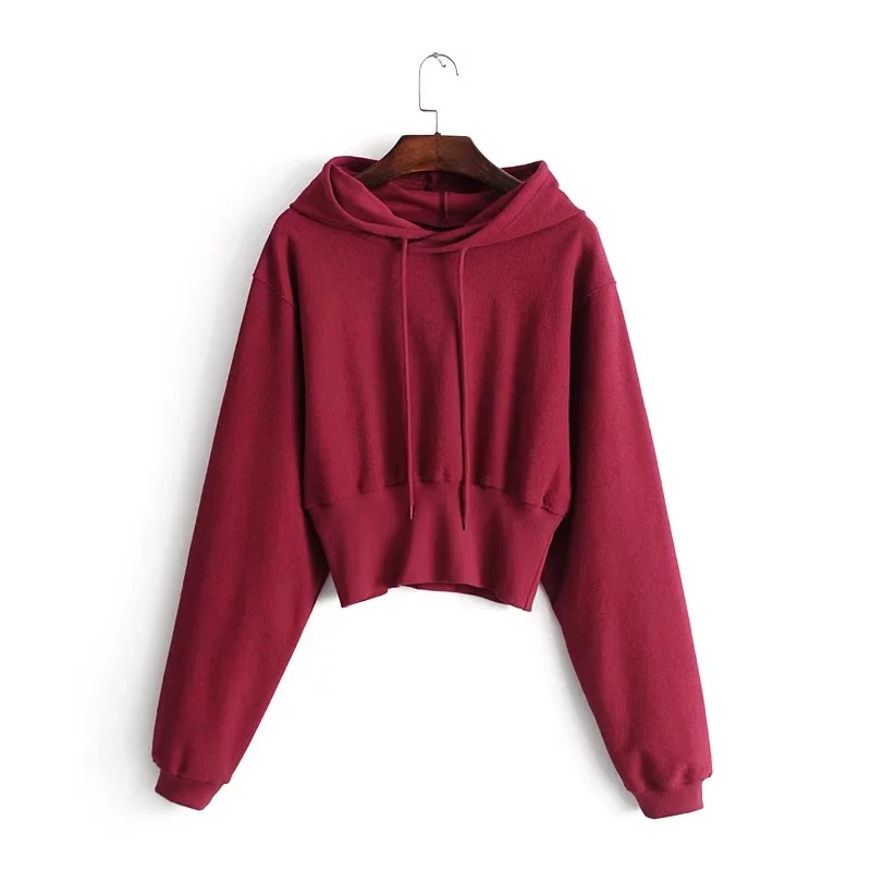 Hoodie Image 2