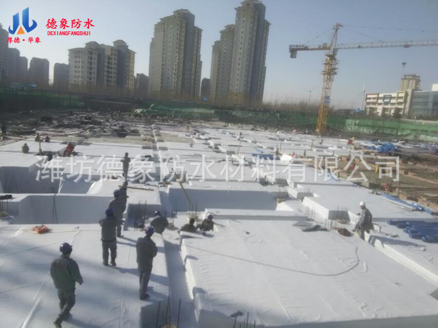 QQ图片20170317103522