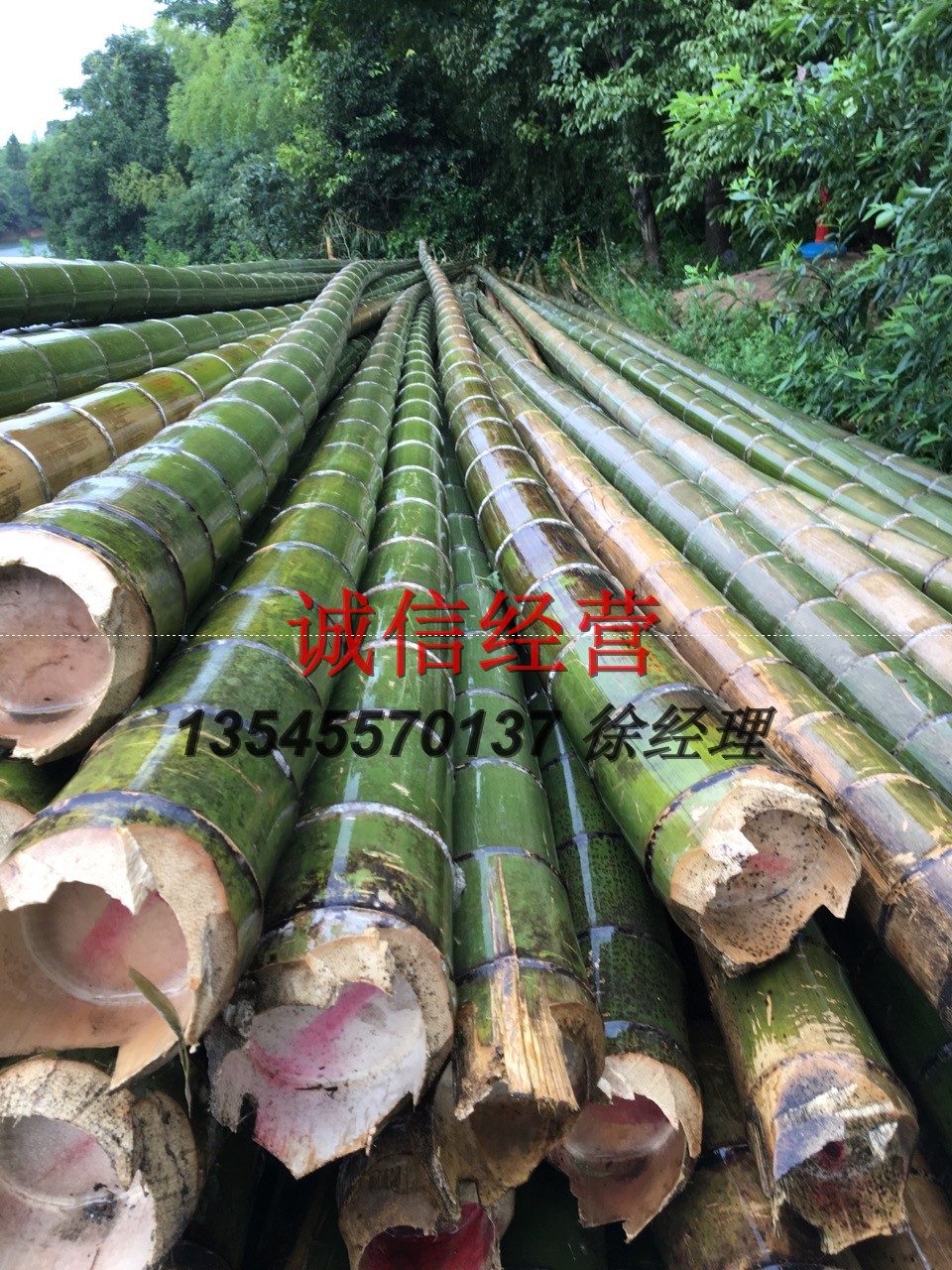 厂家供应楠竹 大头8-10公分 长度8米 含增值税发票-阿里巴巴