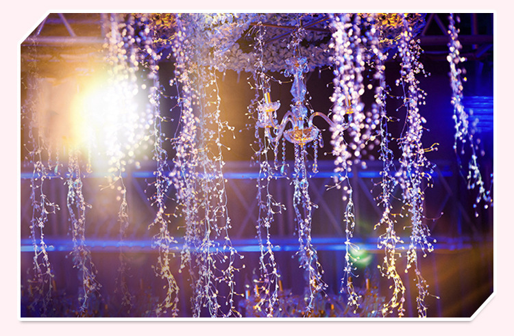 3579038355_2003903659