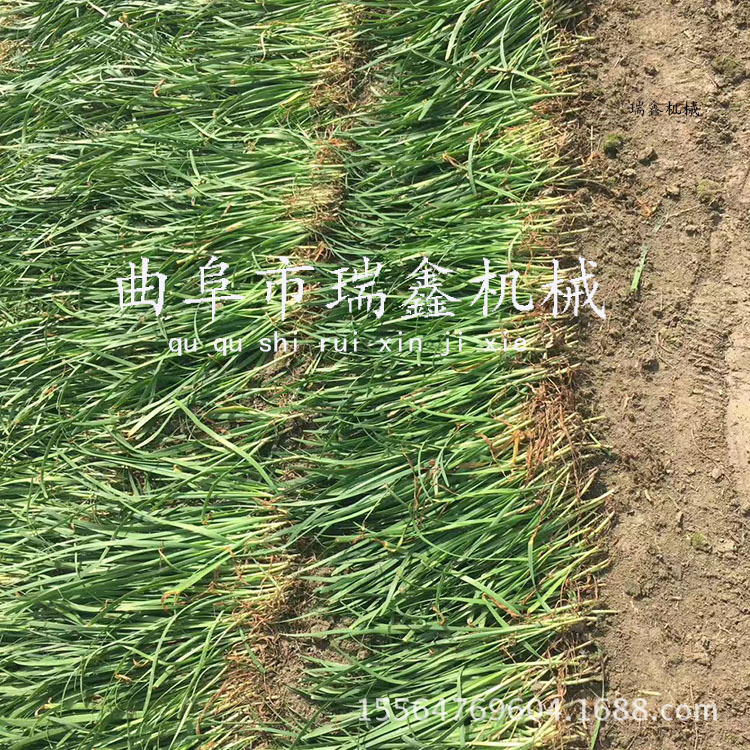 微信圖片_20170605150444