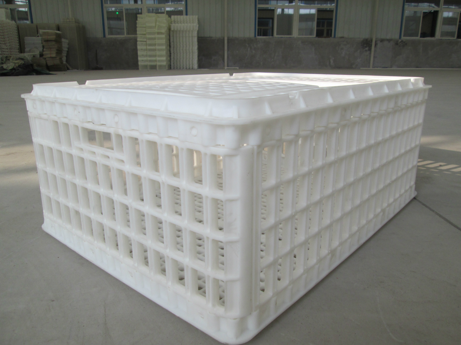 鸡鸭鹅兔周转运输箱厂家  成鸡用周转箱价格 周转箱厂家直销