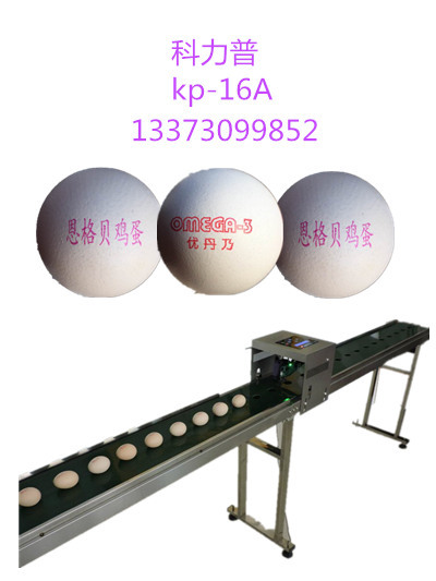 QQ图片20170811100302_副本 - 副本