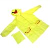 B.Duck, children's fashionable cute transparent raincoat for kindergarten, Birthday gift