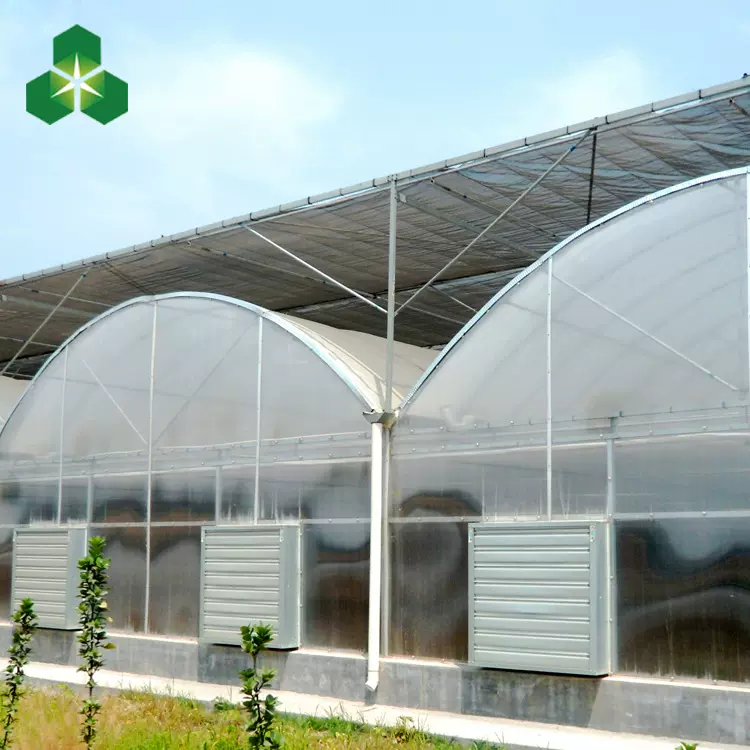 简易连栋温室 花卉大棚 镀锌钢管温室大棚