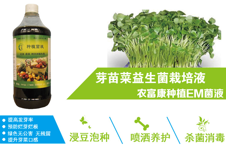 芽苗菜益生菌栽培液