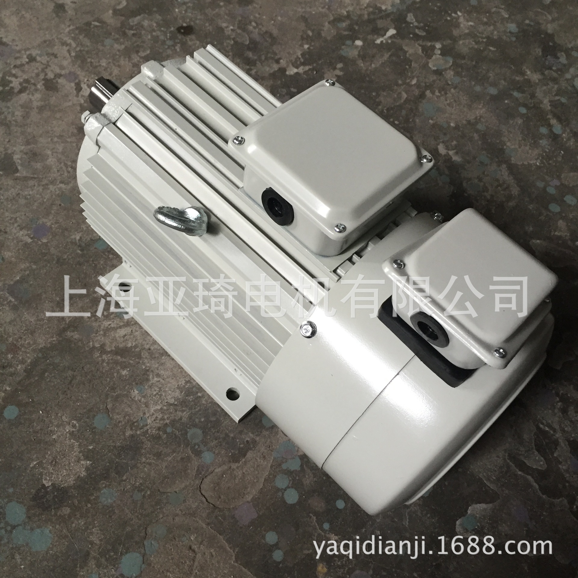 YP-50-0.37-6电机 YP系列变频调速电机