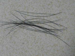 ZC�u�����/LED�����u�z/�����C����������l