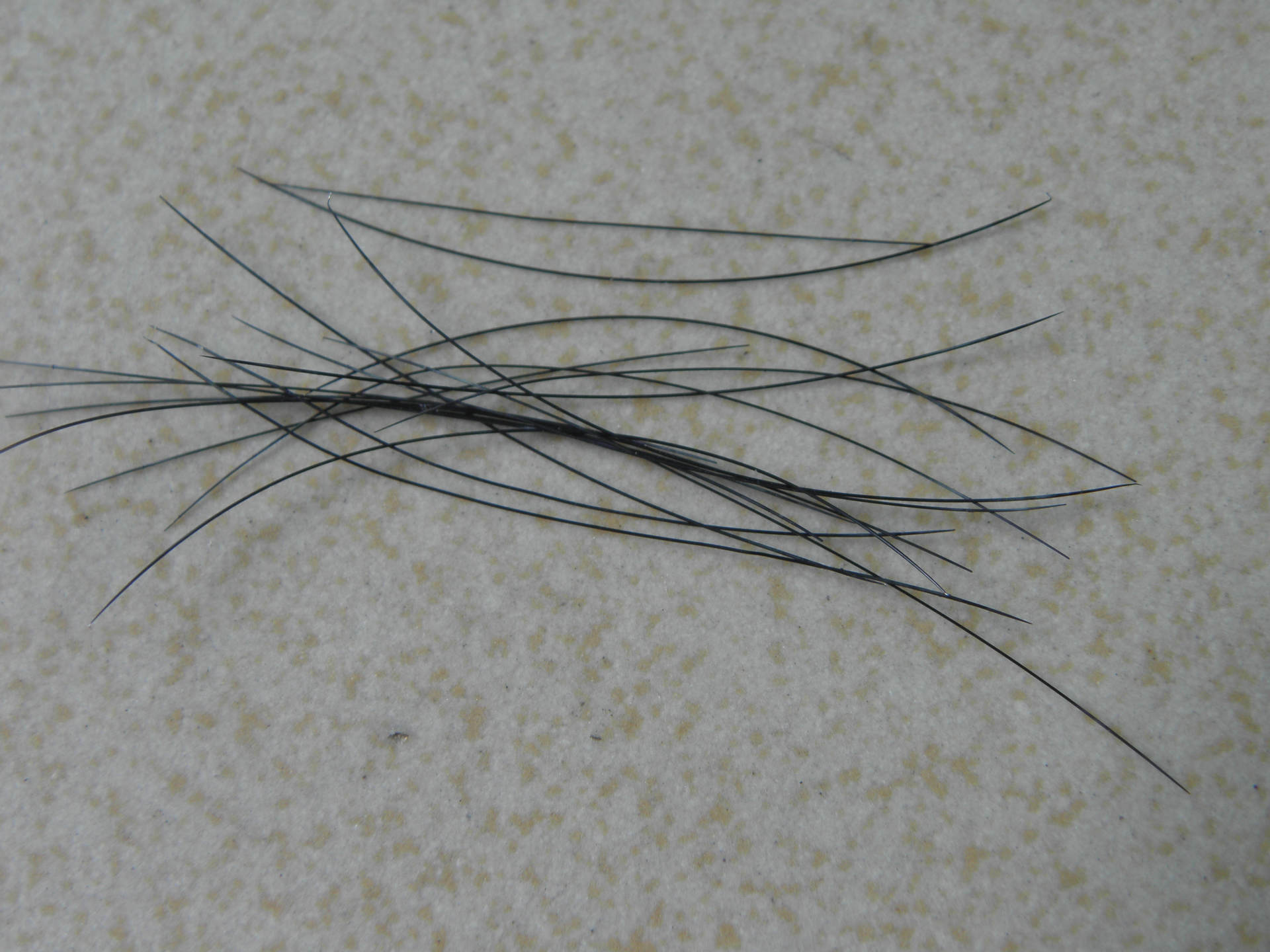 ZC钨钢吸嘴/LED瓷嘴钨丝/焊线机瓷嘴大量批发