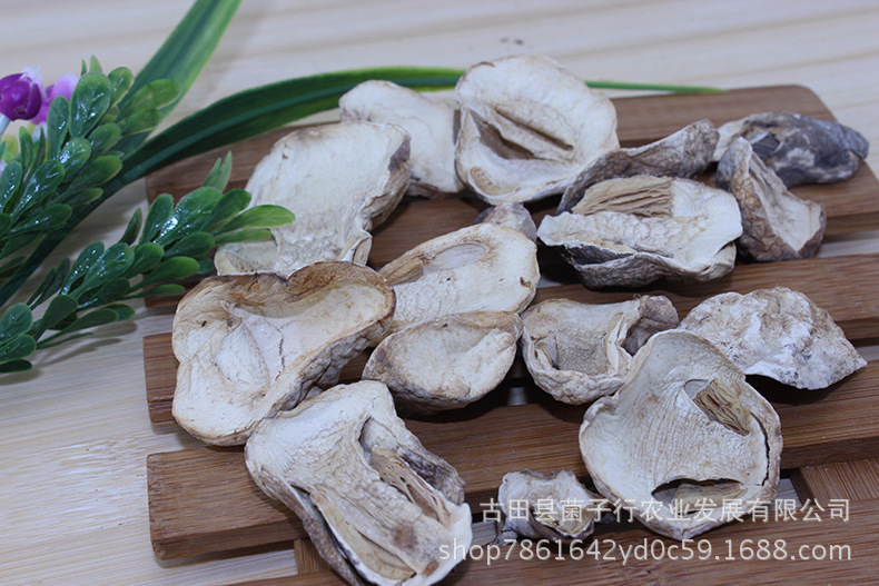 2964905050_1766974570