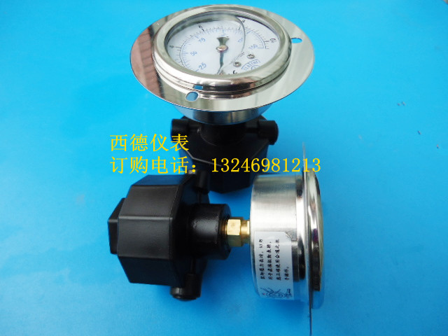 60MM轴向带边(嵌装式)隔膜压力表 耐酸碱隔膜压力表 PP隔膜压力表