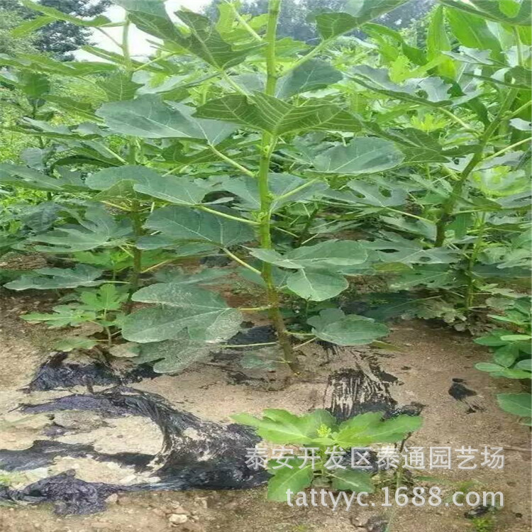 QQ图片20170323090724