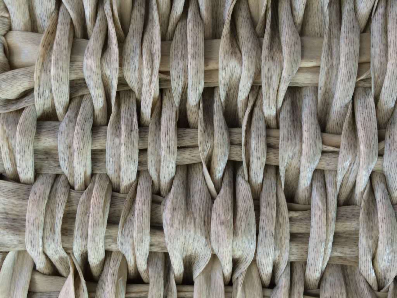 广州联信塑料藤条挤出机价格是多少 联信塑料藤条机价格6.5万元