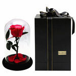 520 день рождения подарок вечная жизнь цветок стекло танабата день святого валентина творческий подарок роуз сухие цветы оптовая торговля сохранение цветок