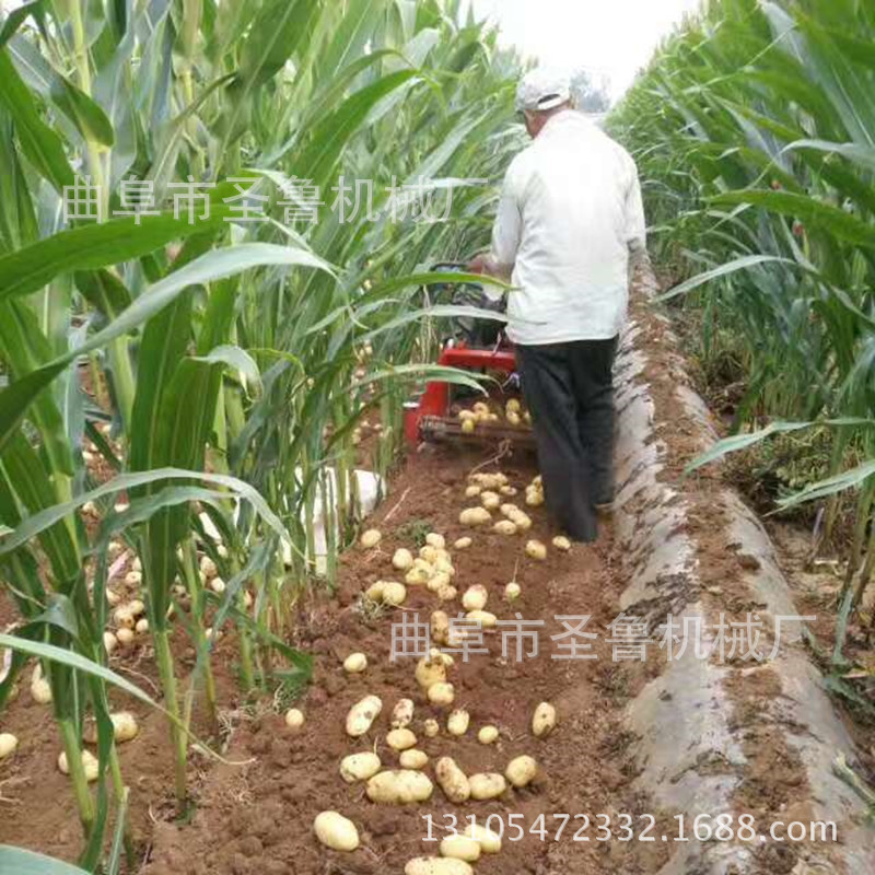 馬鈴薯收獲機(jī)1
