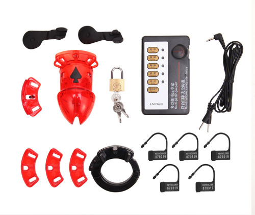 Adult products electric shock pulse male plastic silicone chastity lock CB6000S alternative toy sex toy
