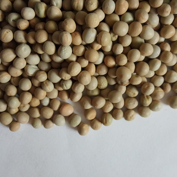 Low Temperature Roasted Peas Hand Selected Whole Dried Peas Wan Dou for Congee and Soup key features