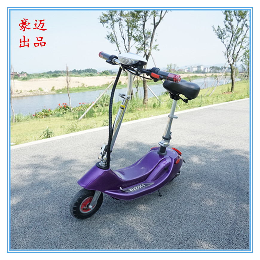 厂家直销 新款紫色小海豚折叠电动车 迷你女士电动车 豪迈出品