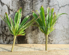 ���������������ָ�ܛ�z���ϼ�ֲ��  ����С���Ԉ@���Ʒ�Gֲ